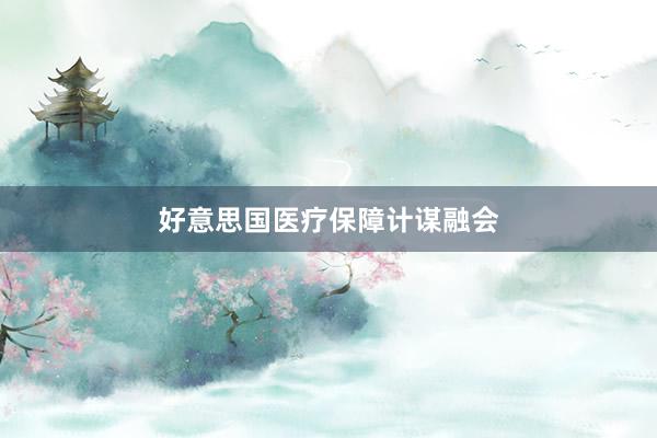 好意思国医疗保障计谋融会
